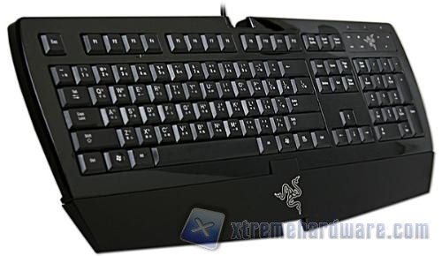 razer-arctosa